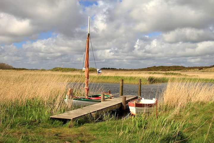 Angeln am Ringkobing Fjord bei den Nymindegabe Esehütten